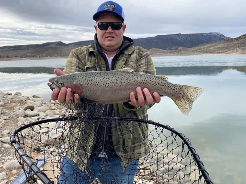 Brok holding a rainbow trout on a still water reservoir shoreline